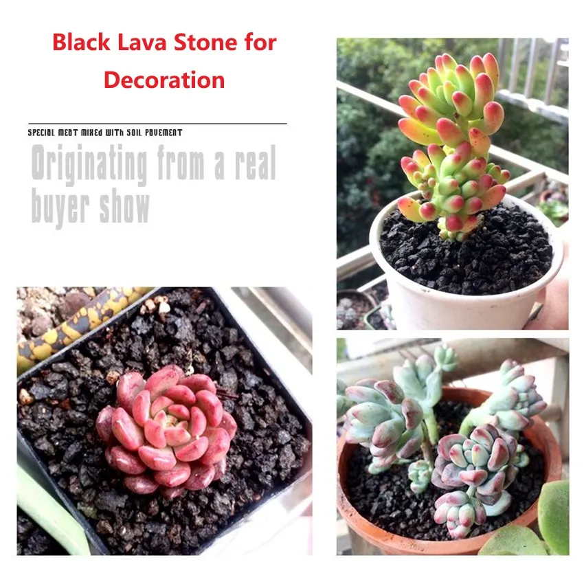 Gardening Application