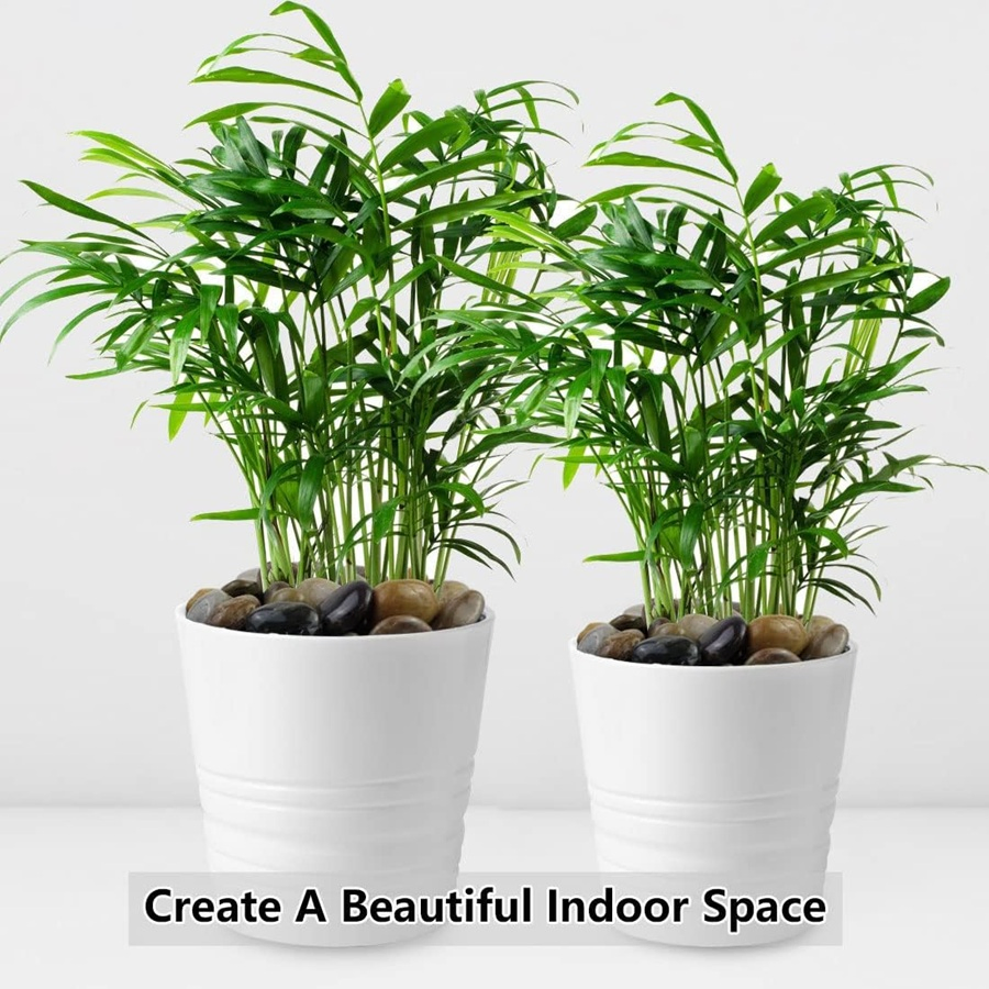 High Polished Pebbles for Indoor Plants Decorative White Stones for Plants Vase