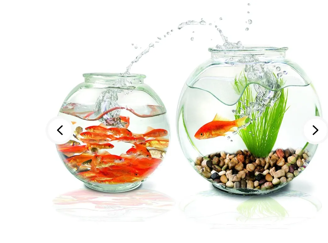 Pebble Application 3