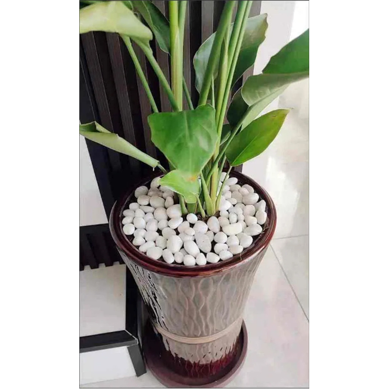 Wholesale Pure White Unpolished Washed River Natural Stone &amp; Pebbles Stone Garden Landscape Park Decorative