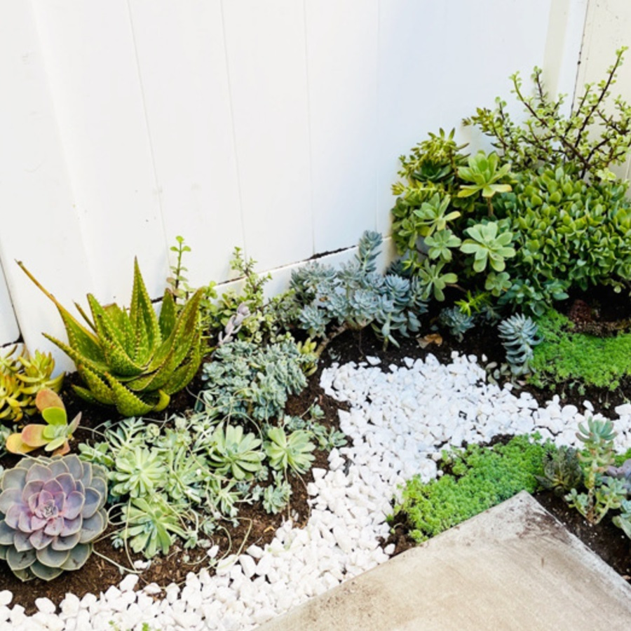 Natural Snow White Pebbles Stone for Decorative Rocks