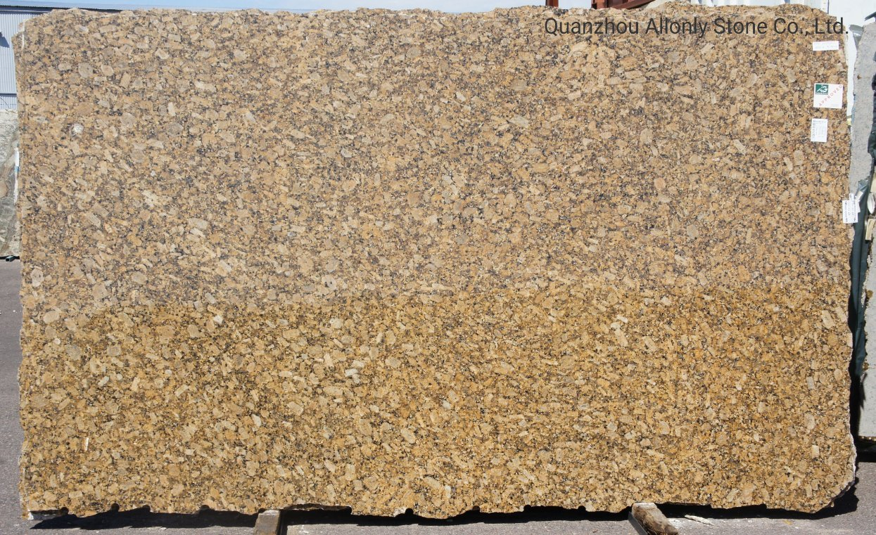 Wholesale Stone Price Giallo Fiorito Granite Slab for Floor Wall Tile