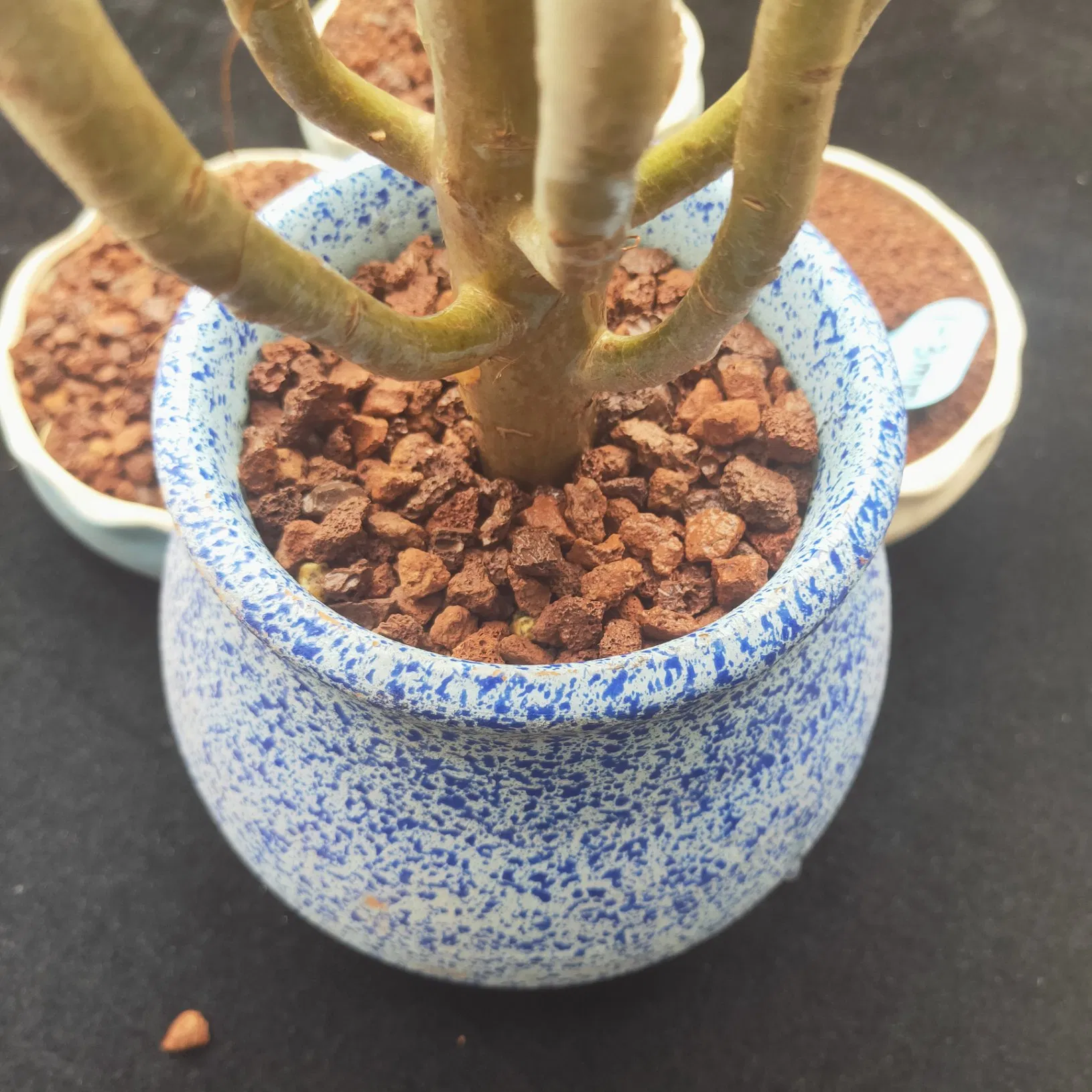 Agricultural Grade Basalt Stone Price for Soil Improvement Natural Lava Gardening Pumice Volcanic Rock Horticulture Paving Succulents Planting