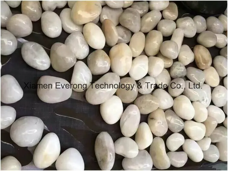 Natural Black Pebble Display