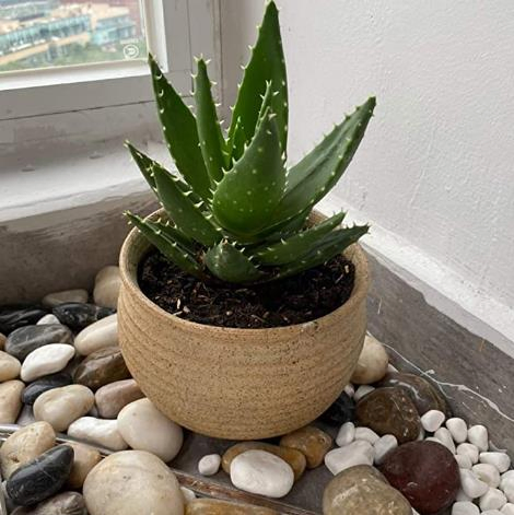 Decorative Stone Black River Rocks, Polished Pebble Garden Black Color, 2-3cm, 3-5cm