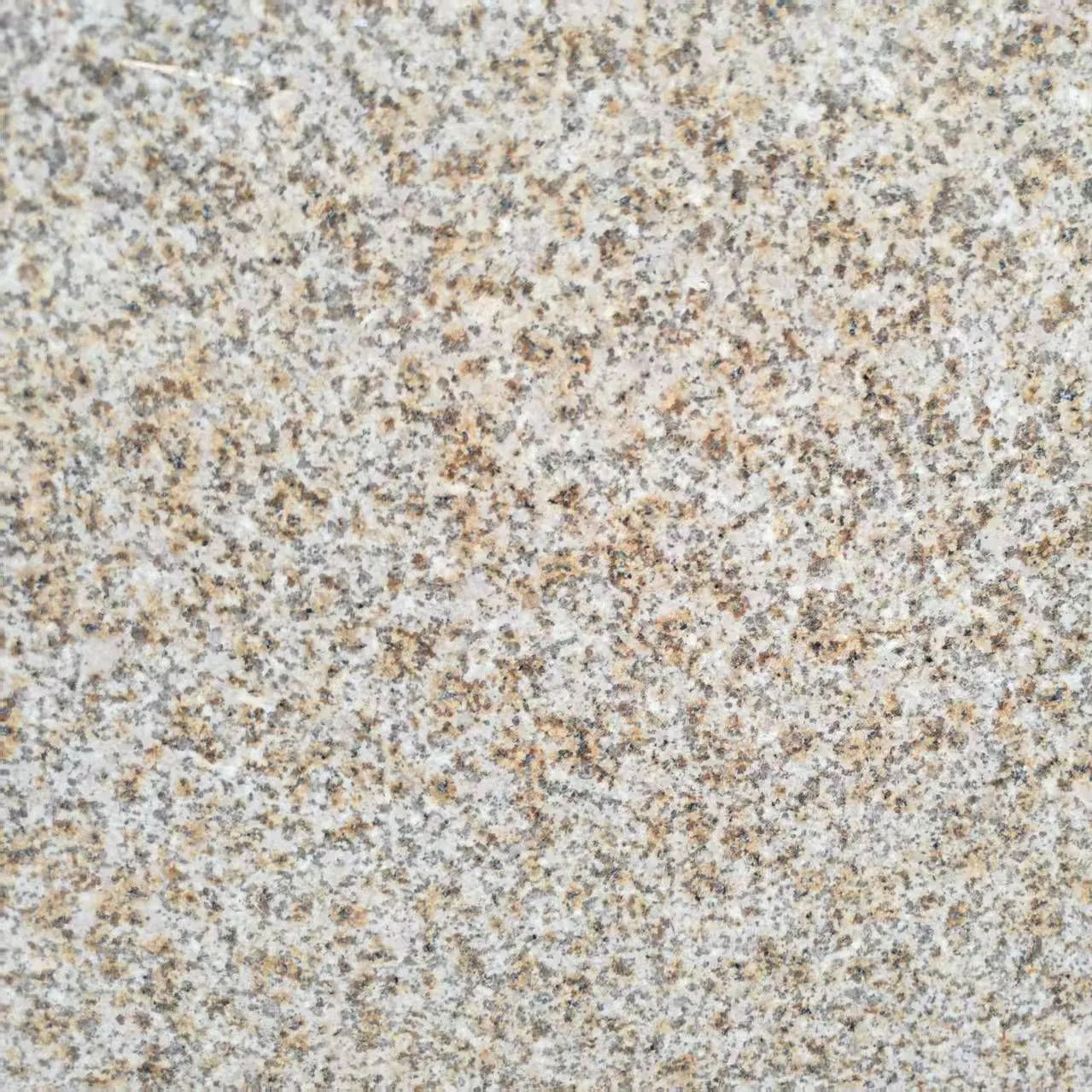 China Natural Stone Cheap Granite Tile for Flooring Tile Slab Tile Yellow Rust Stone