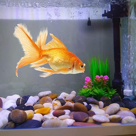 Decorative Stone Black River Rocks, Polished Pebble Garden Black Color, 2-3cm, 3-5cm