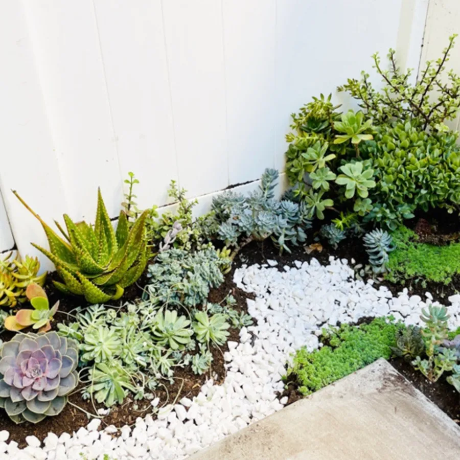 Decorative Rocks Pebbles