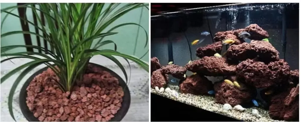 Flower pavement & Fish tank