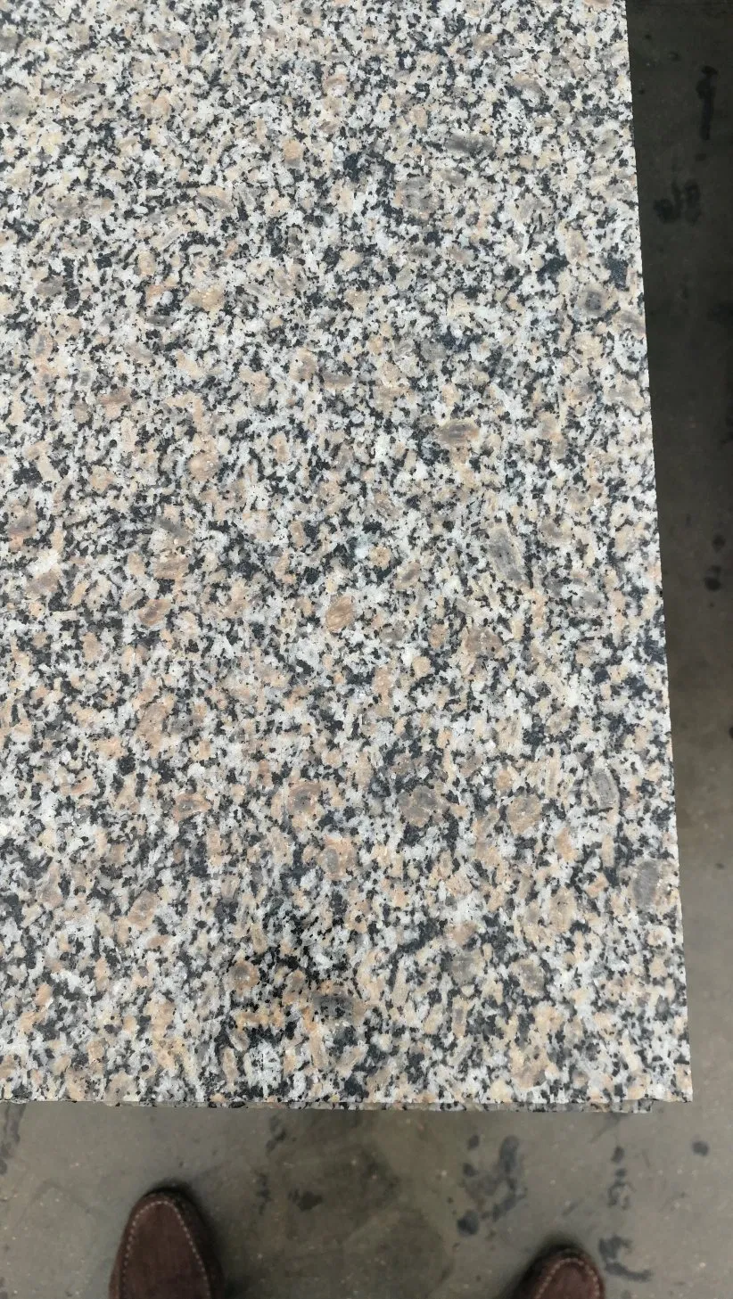 Natural Chinese New G664 Polished Granite Slab for Ecuador