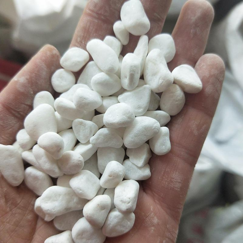 Snow White Pebble Stones for Aquarium Landscape Decor