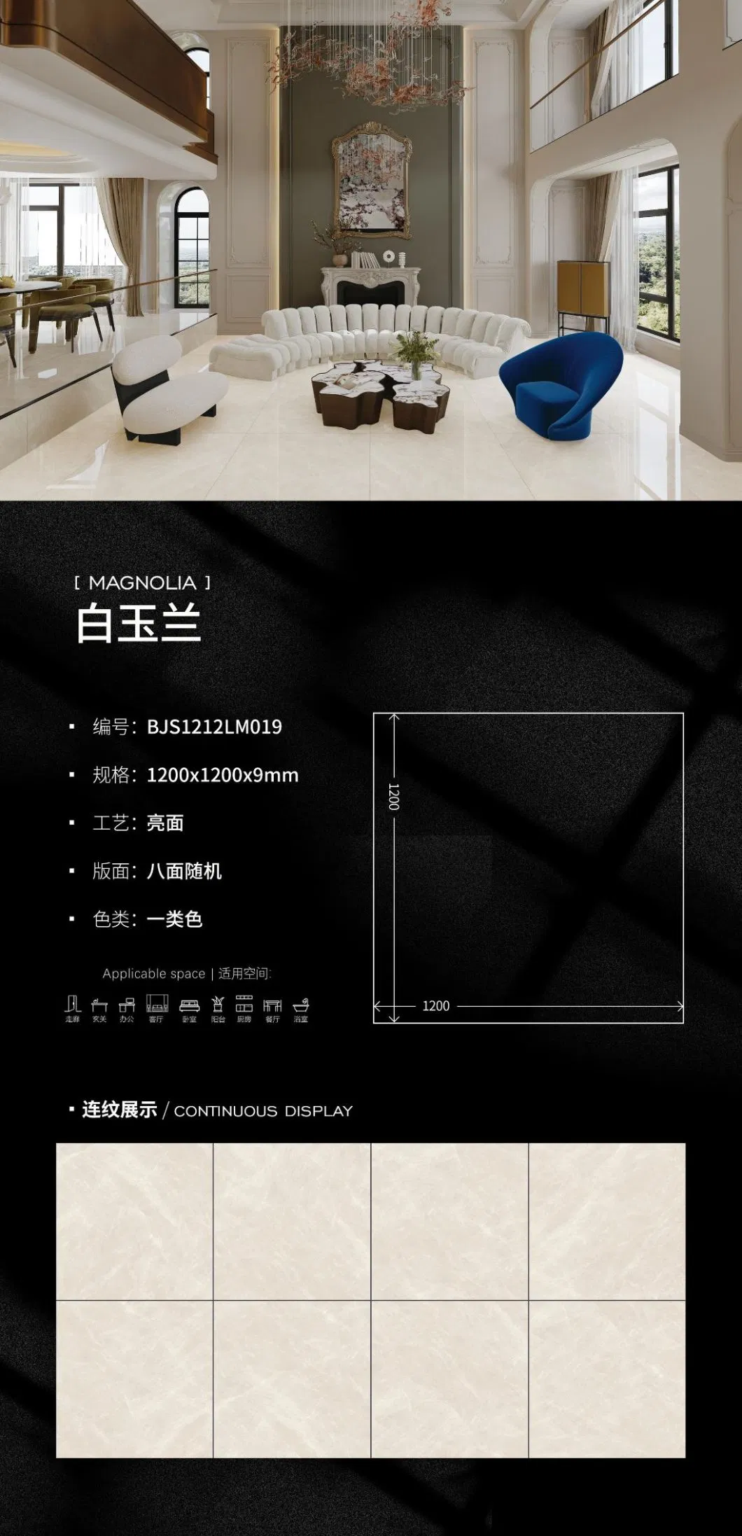 Full Polished Glazed Big Slab 1