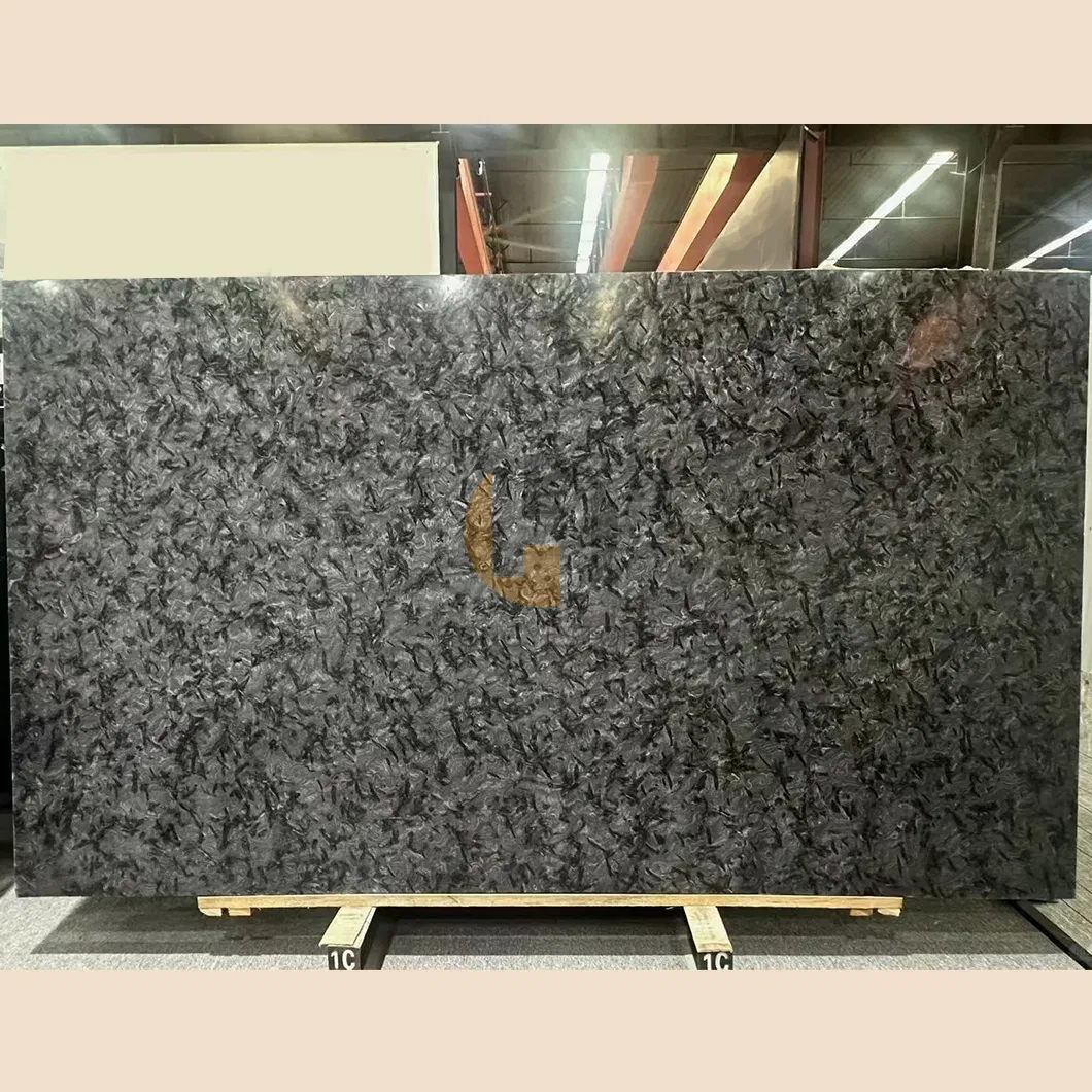 Brazilian Exotic Leather Finish Matrix Titanium Granite Cosmic Black Quartzite Slab Tile for Countertop