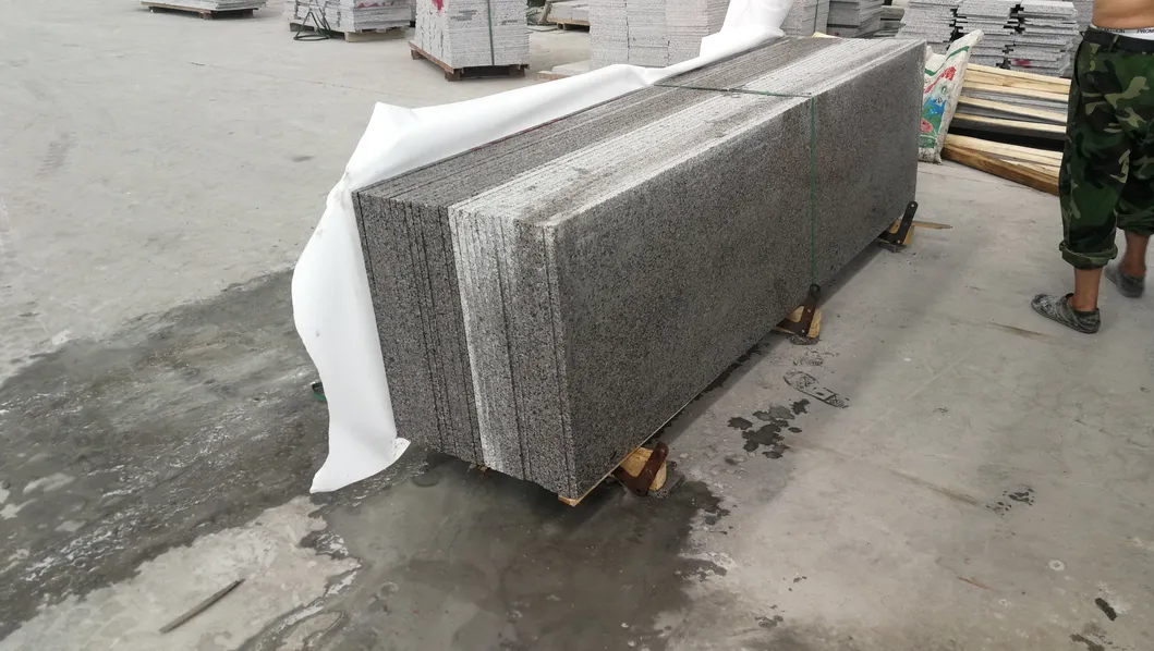 G366 Granite Slab