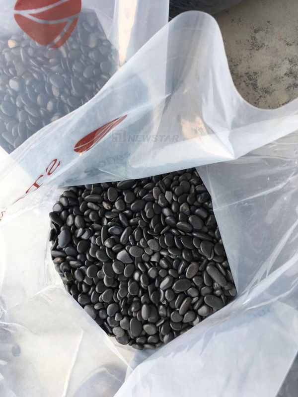 Landscape Natural River Stone Pebbles Garden Decoration Wholesale River Stones Mosaic Tile Wall and Floor Pebble Paving Matte