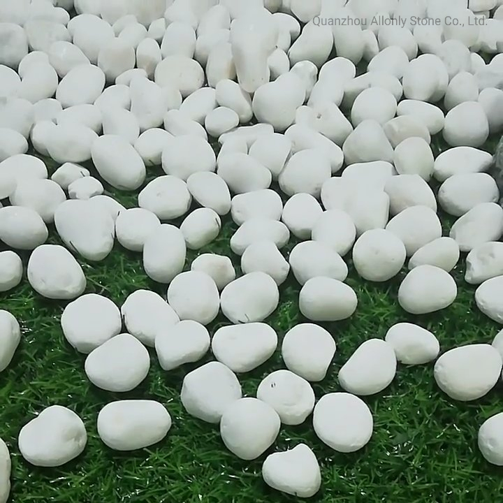 Wholesale Natural Snow White Garden Landscape Pebbles Graval Stone