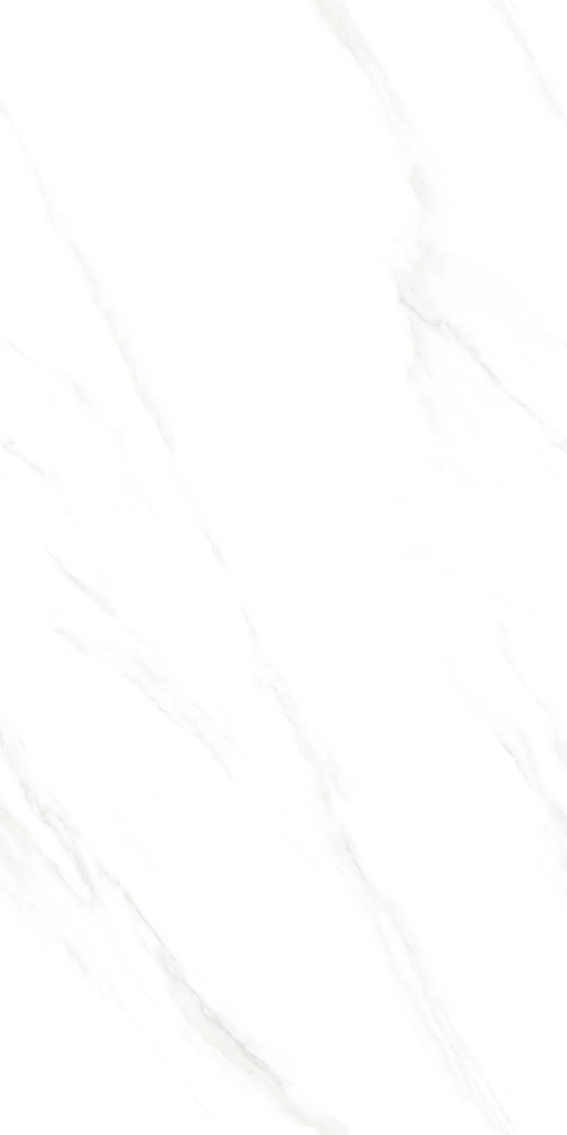 Polished Marble Glazed Porcelain Floor Tile 600X1200mm (24"X48")