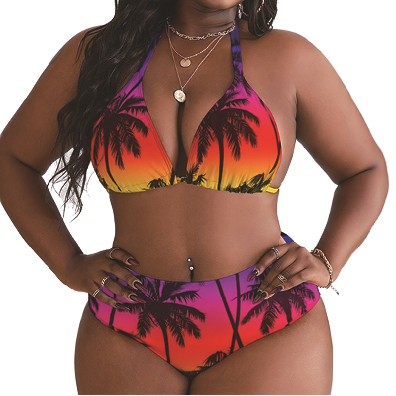 Summer Popular Beachwear Fashion Plus Size OEM Letter Floral Stripe Cool Ruffle Custom Extreme Vacation Sexy Swim Brief