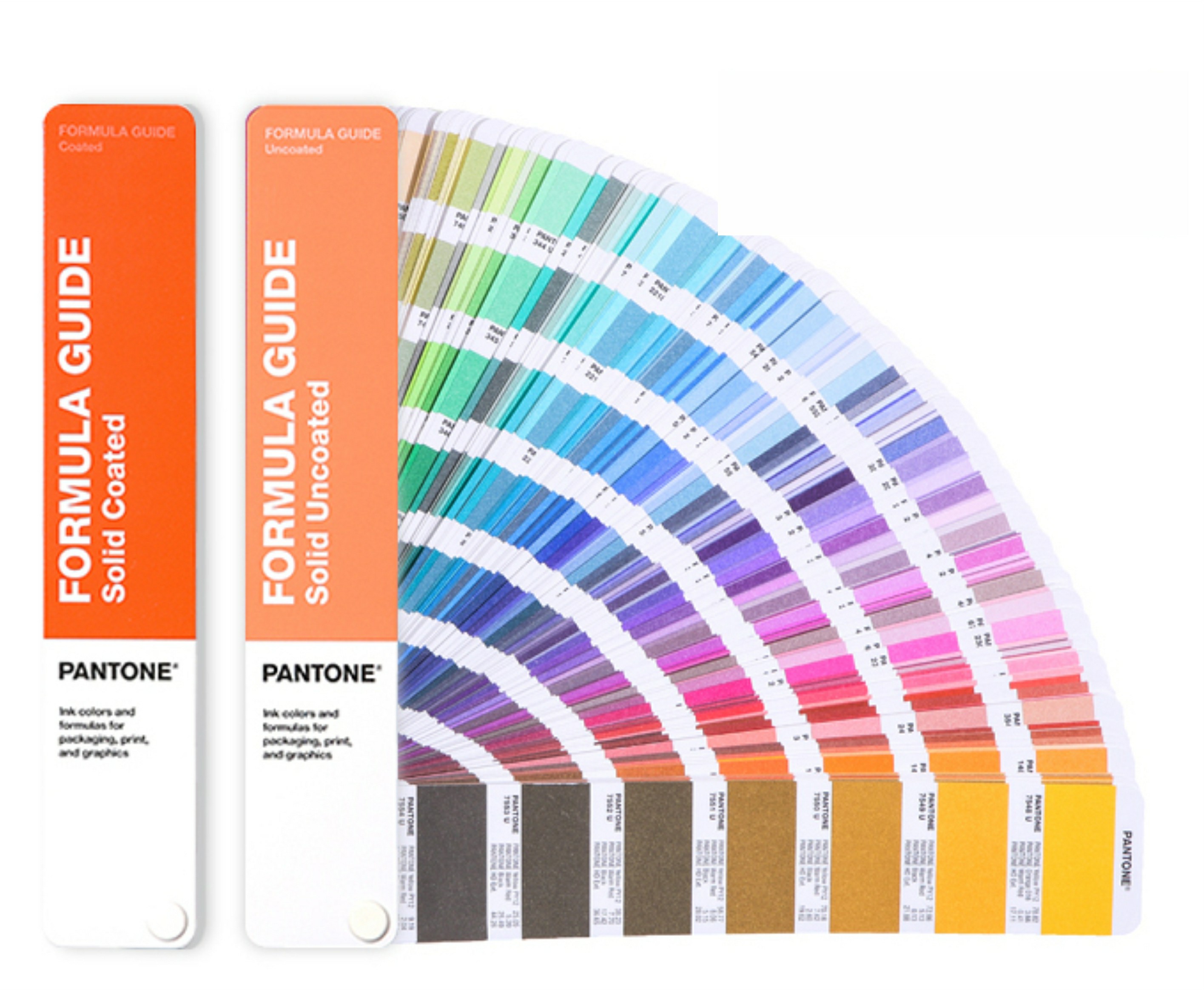 Custom Color Options