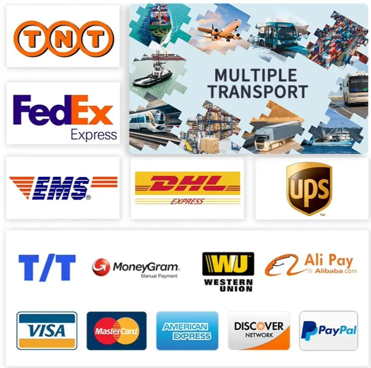 Logistics and Payment Methods