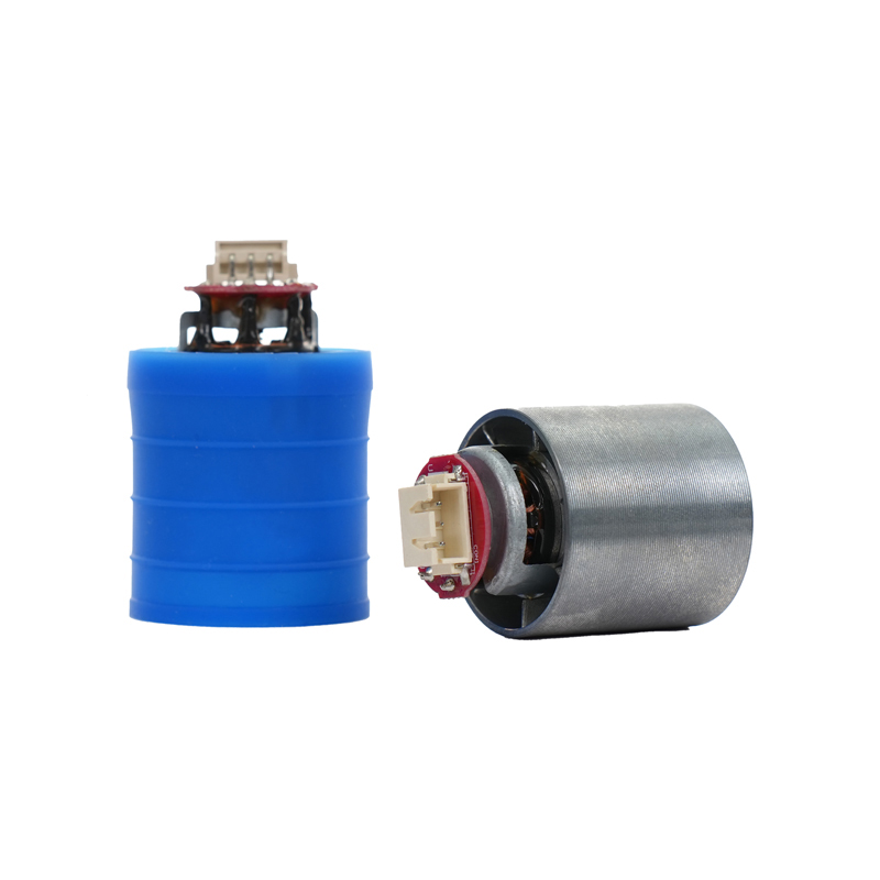 BLDC Motor for Hair Dryer High Speed 110000rpm 29mm 110v/220v/230v/24v Smart Home Appliance Fan Permanent Magnet