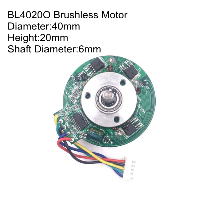 Brushless Motor Assembly