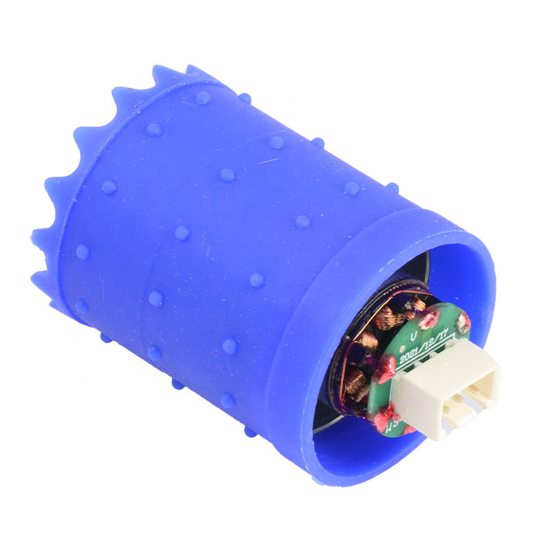 BL2929F High Speed 100000rpm BLDC Motor 12V 110V 220V 230V Brushless DC Motor for Hair Dryer