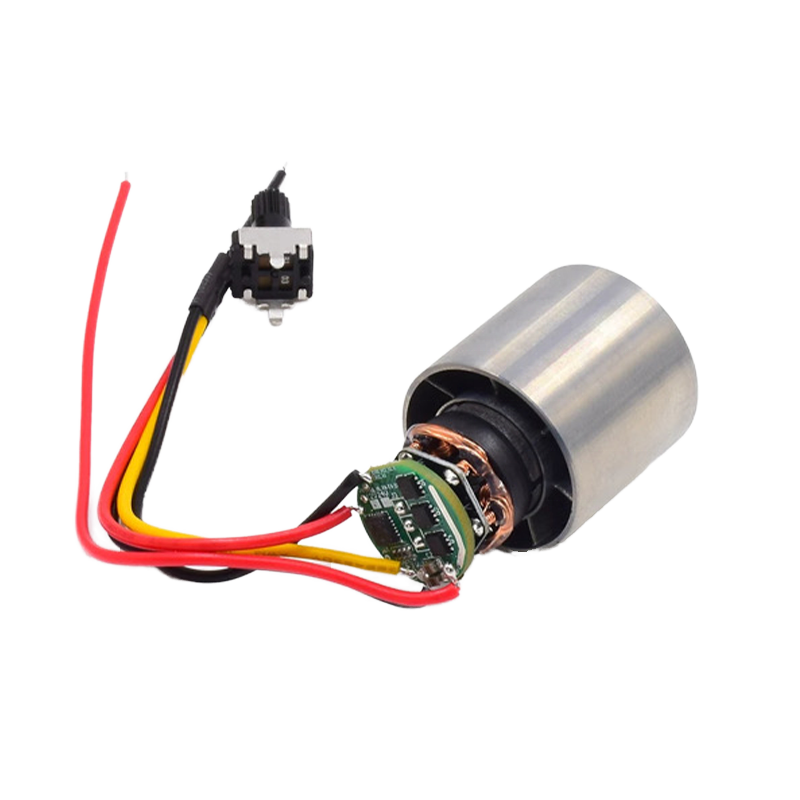 BLDC Motor for Hair Dryer High Speed 110000rpm 29mm 110v/220v/230v/24v Smart Home Appliance Fan Permanent Magnet