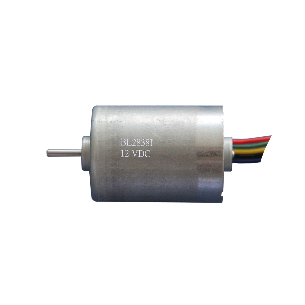 OEM China Supplier High Speed 7800rpm L2000H 12/24V 28mm Dc Micro Brushless Motor 3000 RPM for Printer Machine DBL2838