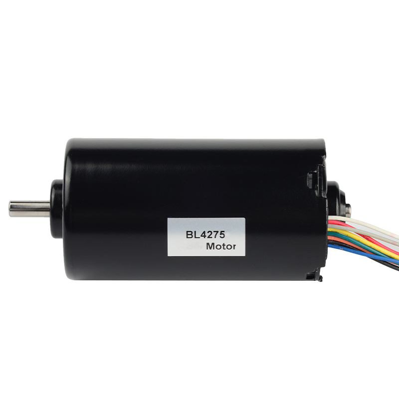 775 24V 60W Bldc Motor with 3000rpm Speed 42mm Permanent Magnet Brushless Dc Motor