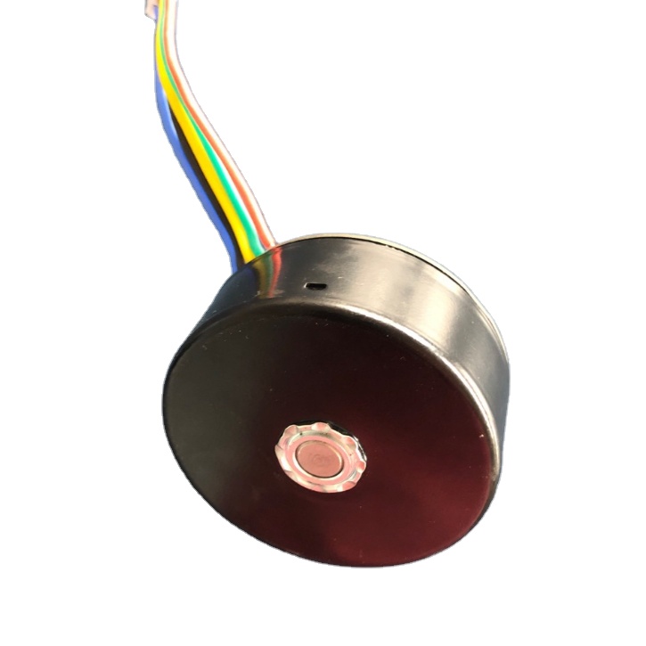 12V 18V 24V Outer Rotor Brushless Dc Motor for Massager