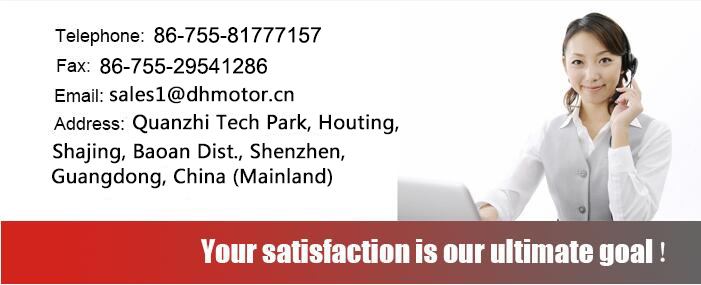 Brush DC Motor