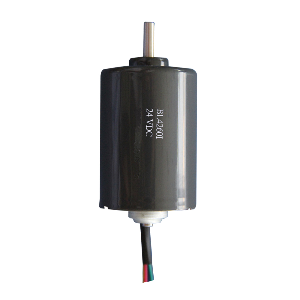 OEM Long Life Time China Factory 42mm High Speed Dc Brushless Motor 12/24v High Torque 1 nm for Treadmill Brushless BLDC4260