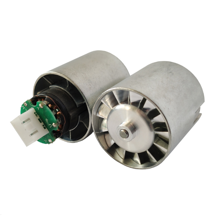 29mm 12V 24V 110v 220v 230v High Speed Bldc 100000 Rpm Hair Dryer Dc Motor