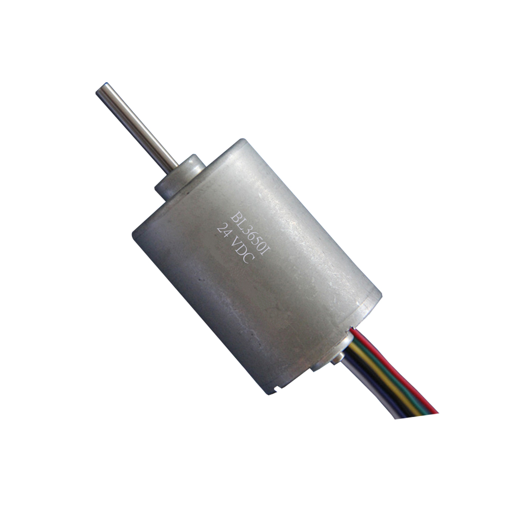 Factory Customized Long Life Time 20000H 12/24v 8000rpm Diameter 36mm Electric Dc Brushless Motor  Length 40mm DBL3640