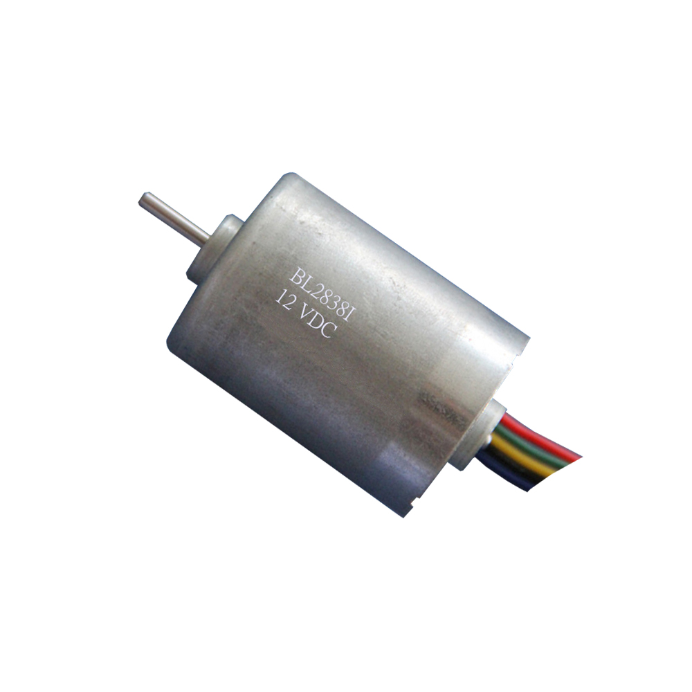 OEM China Supplier High Speed 7800rpm L2000H 12/24V 28mm Dc Micro Brushless Motor 3000 RPM for Printer Machine DBL2838