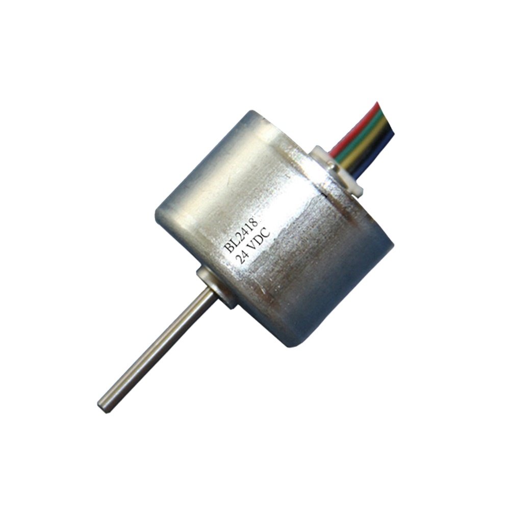 Bl2418 Bl2430 3.7V 5V 6V 12V 24V 24mm Mini Dc Brushless Motor