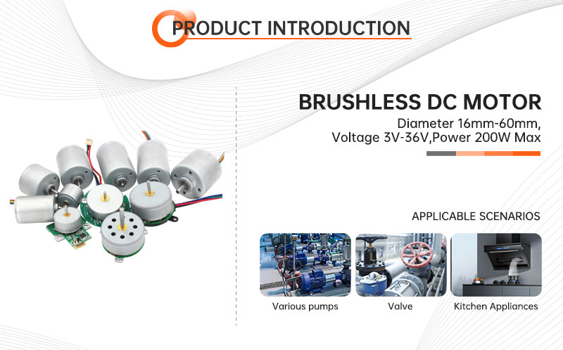 Factory Supply 2838 Brushless Motor Diam 28mm 7.4V 12V 24V Inner Rotor Brushless Dc Motor for Massage Gun