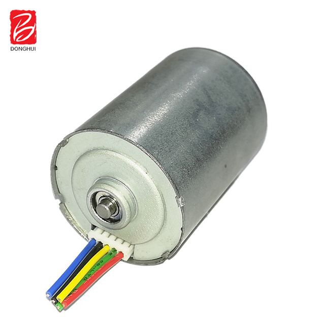 28mm BL2838 12V Brushless DC Motor with Permanent Magnet for Electric Boat and Home Appliance 6000 RPM