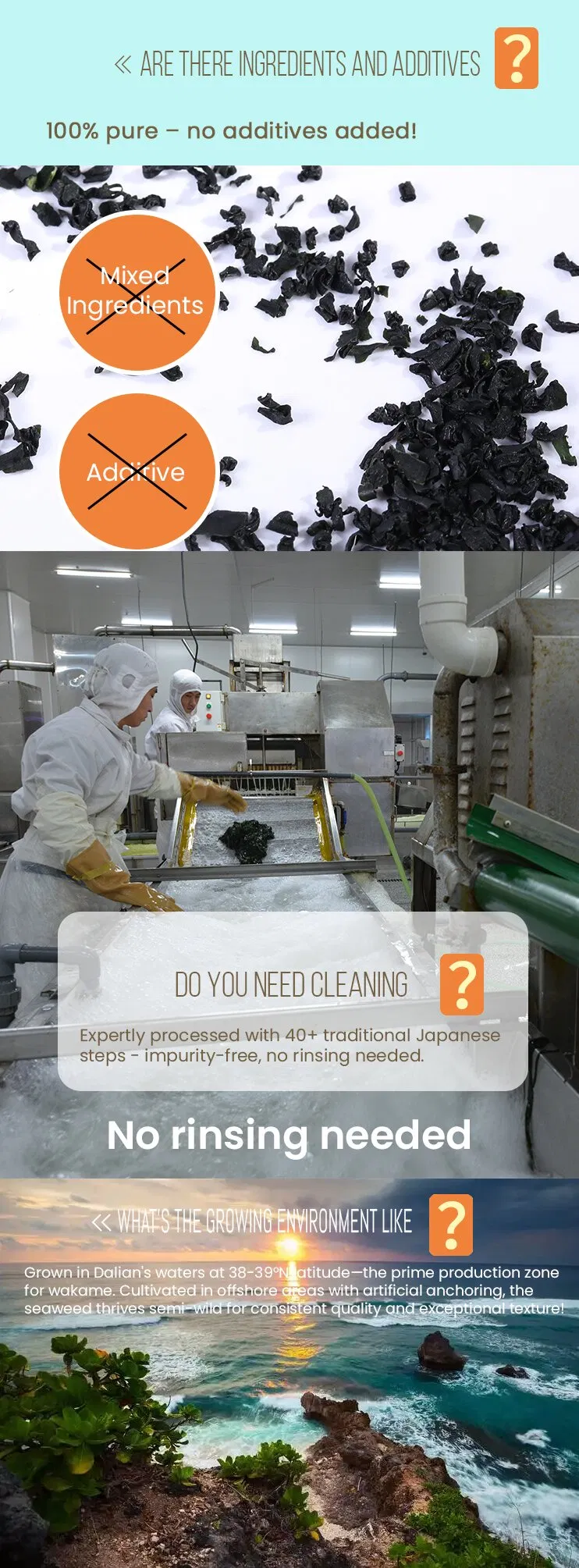 Dried Wakame Detail 3