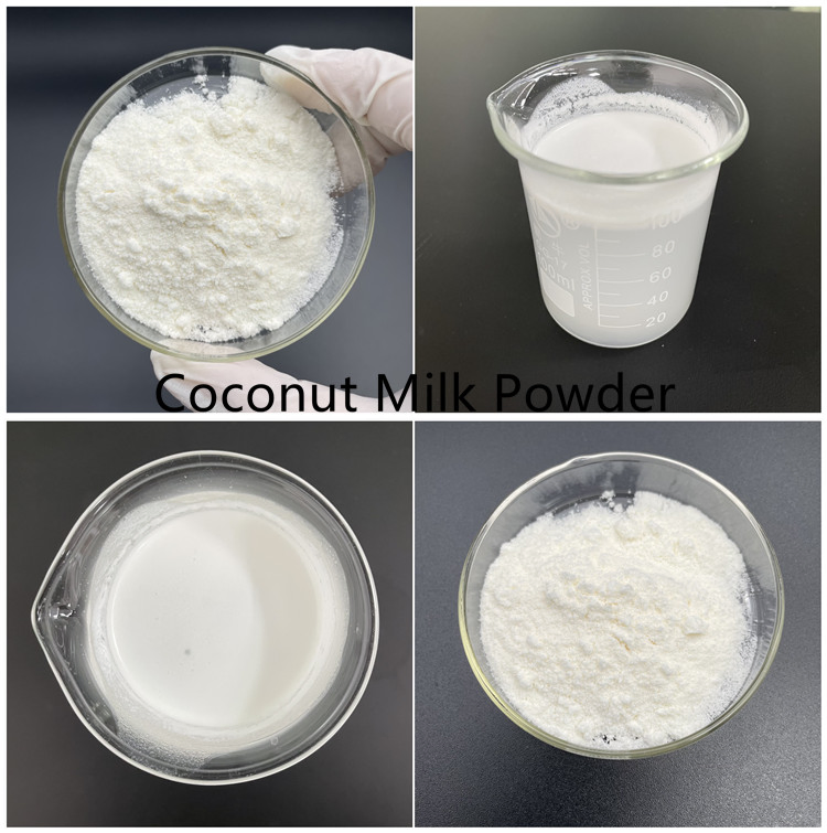 100% Natural Organic Coconut Milk Powder