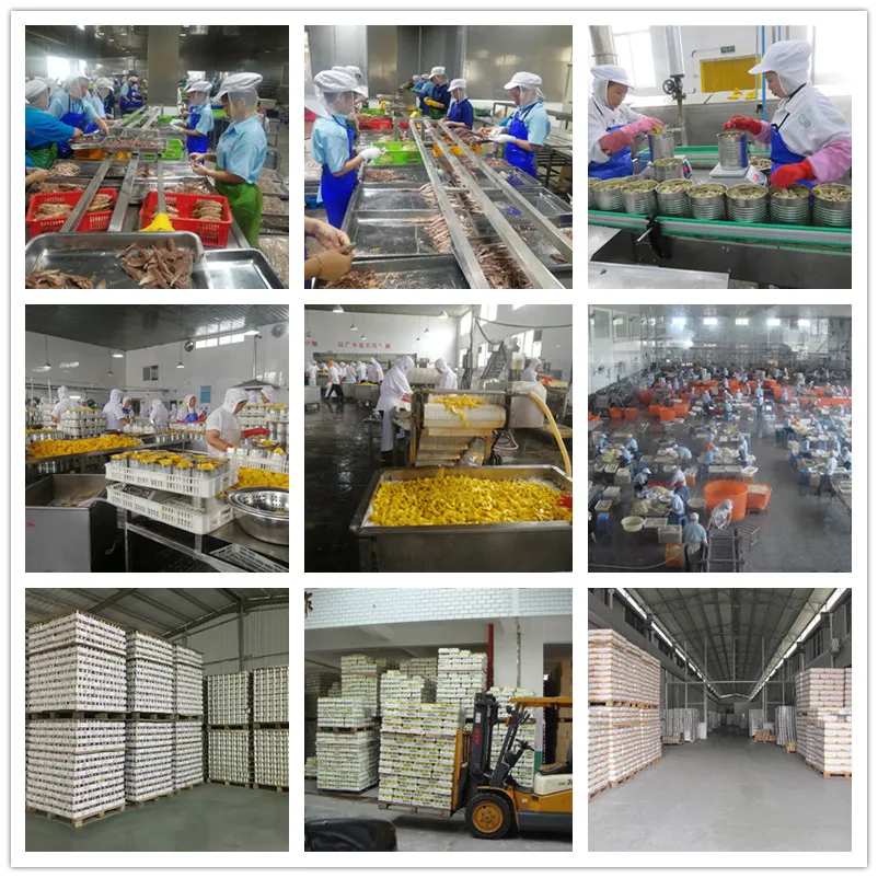 Packaging and Shipping