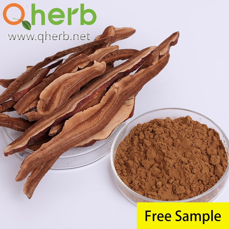 Free Sample Reishi Mushroom Ganoderma Extract Beta Glucan for Boosting Immune System