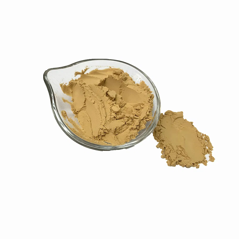 Concentrated Soy Sauce Powder Soy Sauce Paste for The Condiments Ingredients