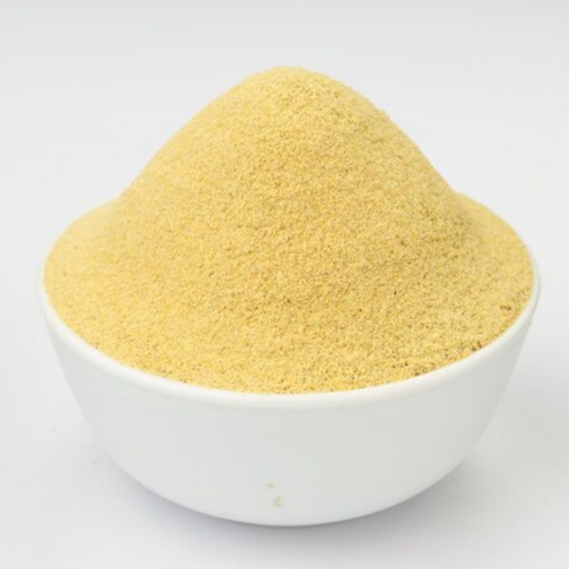 Modern Plant Based Alternative Seasoning Chicken Essence Powder