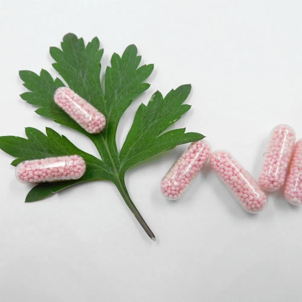 Functional Food for Muscle Health and Cancer Prevention