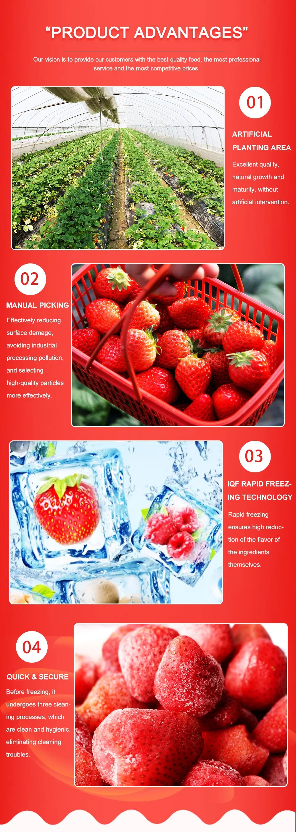 Strawberry Details 4