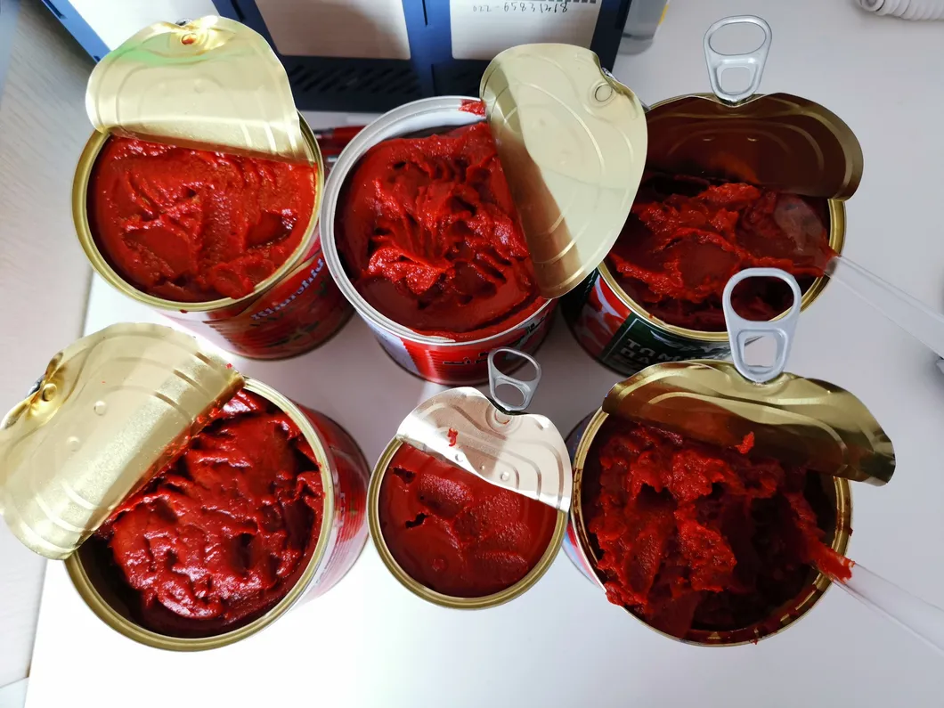 Tomato Paste Production