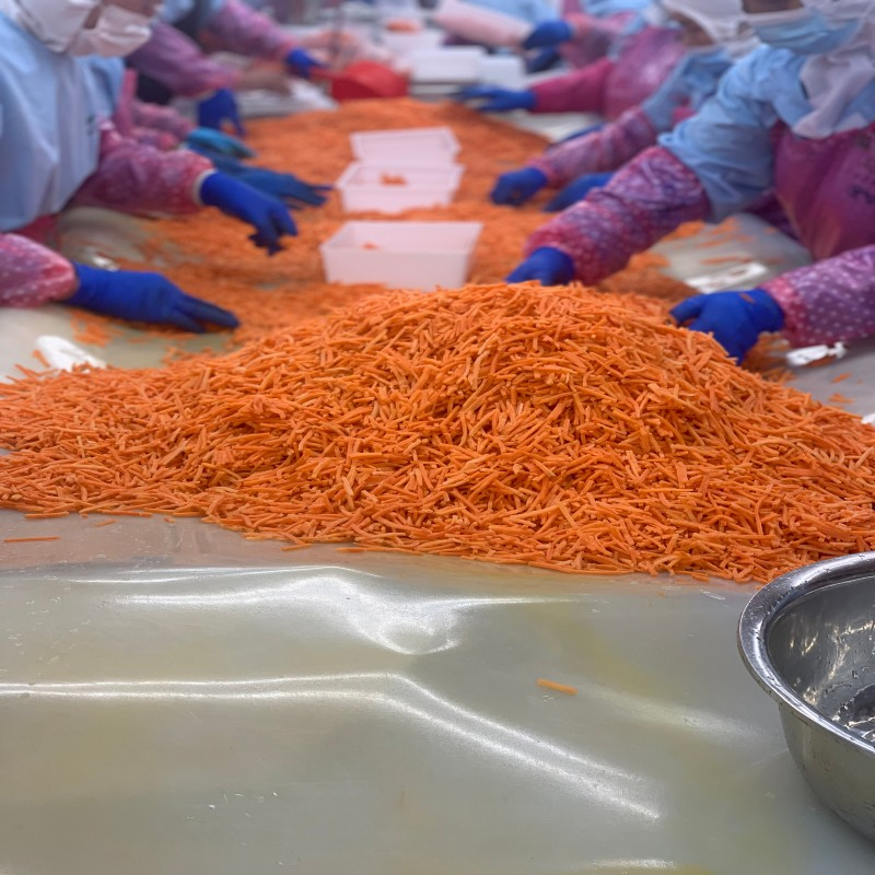 Quick Frozen Vegetables for Food Manufacturers and Ready Meal Processing IQF Carrot