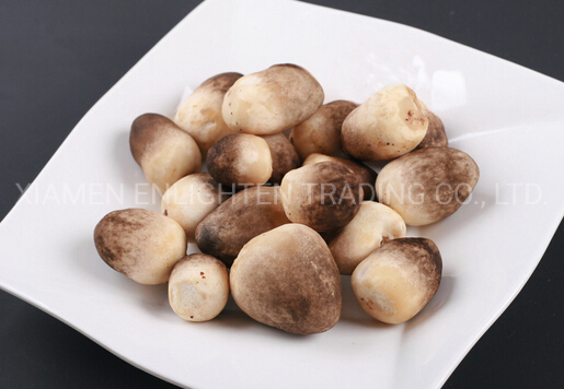 Instant Canned Food Well Preserved and Vacation Nessary Strawmushroom